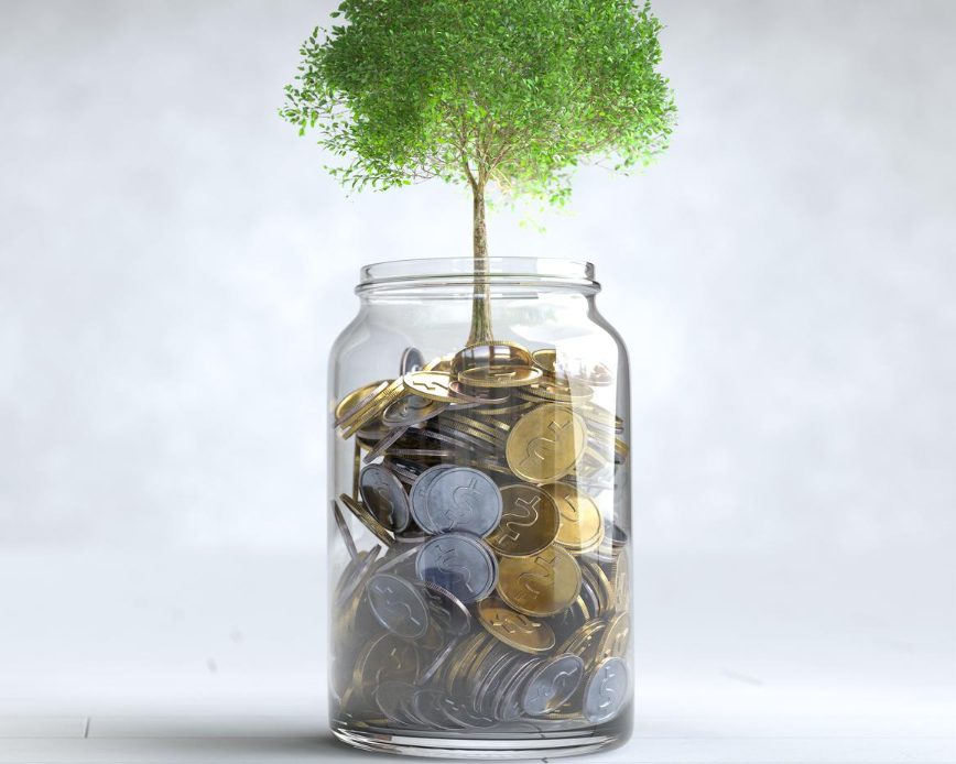 An Equity Fund is a type of mutual fund that primarily invests in equity shares of listed companies. These funds pool money from multiple investors and invest across different sectors and companies to create a diversified investment portfolio. Professional fund managers actively manage the portfolio by selecting stocks based on research, market trends, and investment objectives.