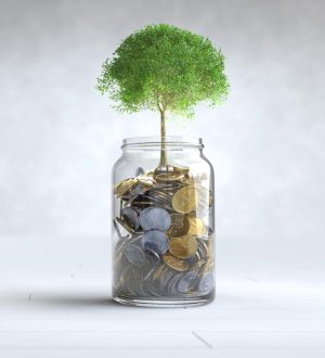 Best Performing Mutual Funds