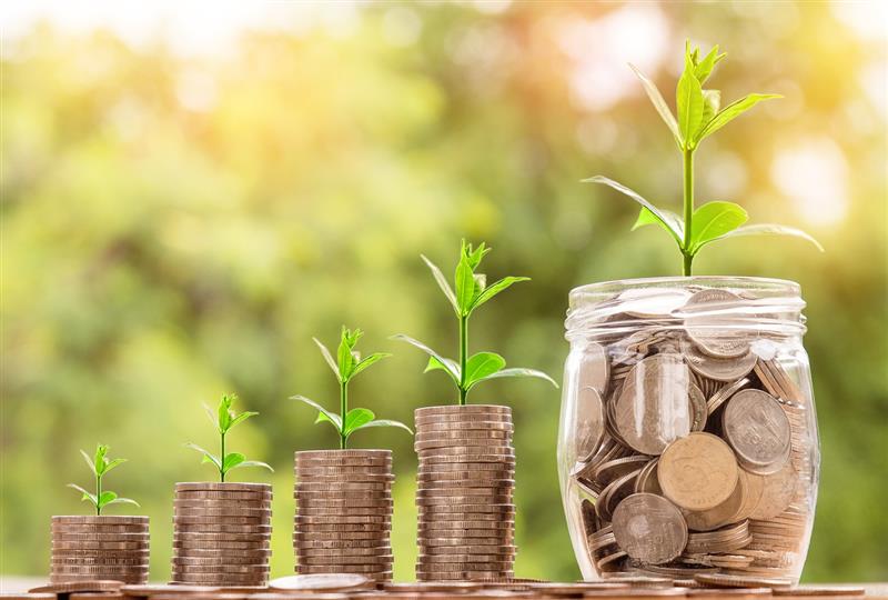 Who Should Invest in the Best Return Mutual Fund?