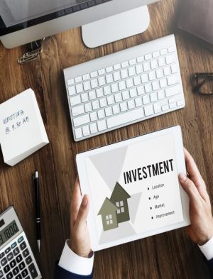 How MintWise Helps with Your Car Investment Planner