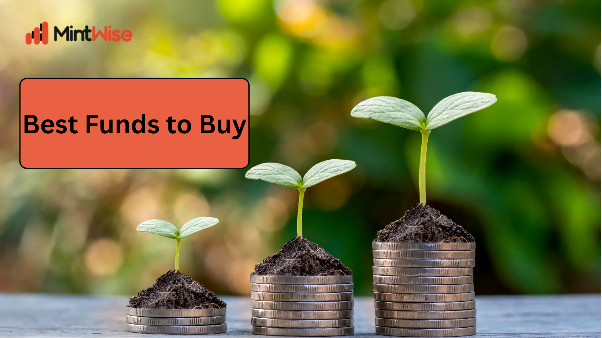 MintWise investment guide featuring growing plants emerging from stacks of coins, symbolizing wealth creation, long-term investing, and the best mutual funds to buy for financial growth.