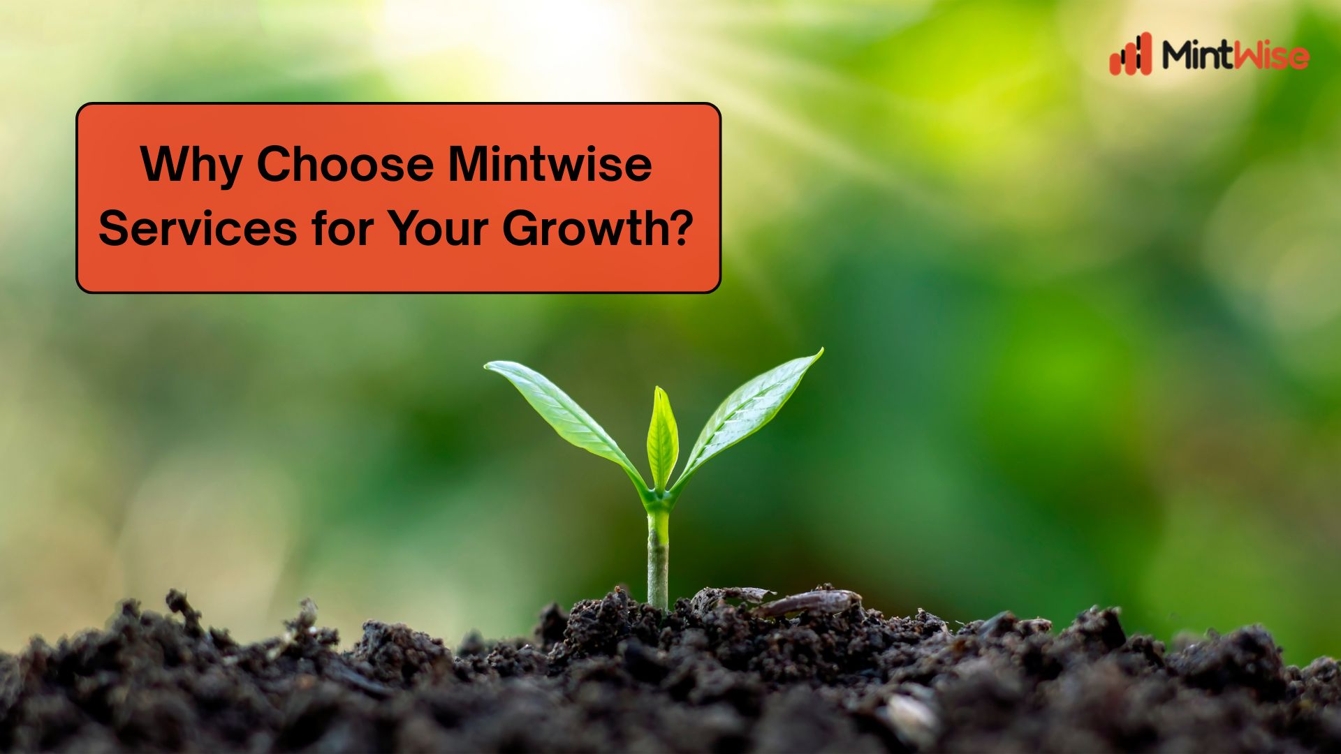 Why Choose MintWise Services for Your Growth with a young plant symbolizing business growth